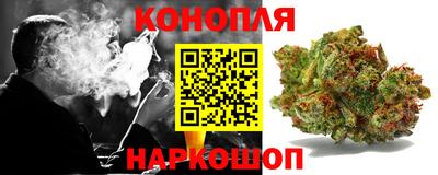 гидропоника Жуковский