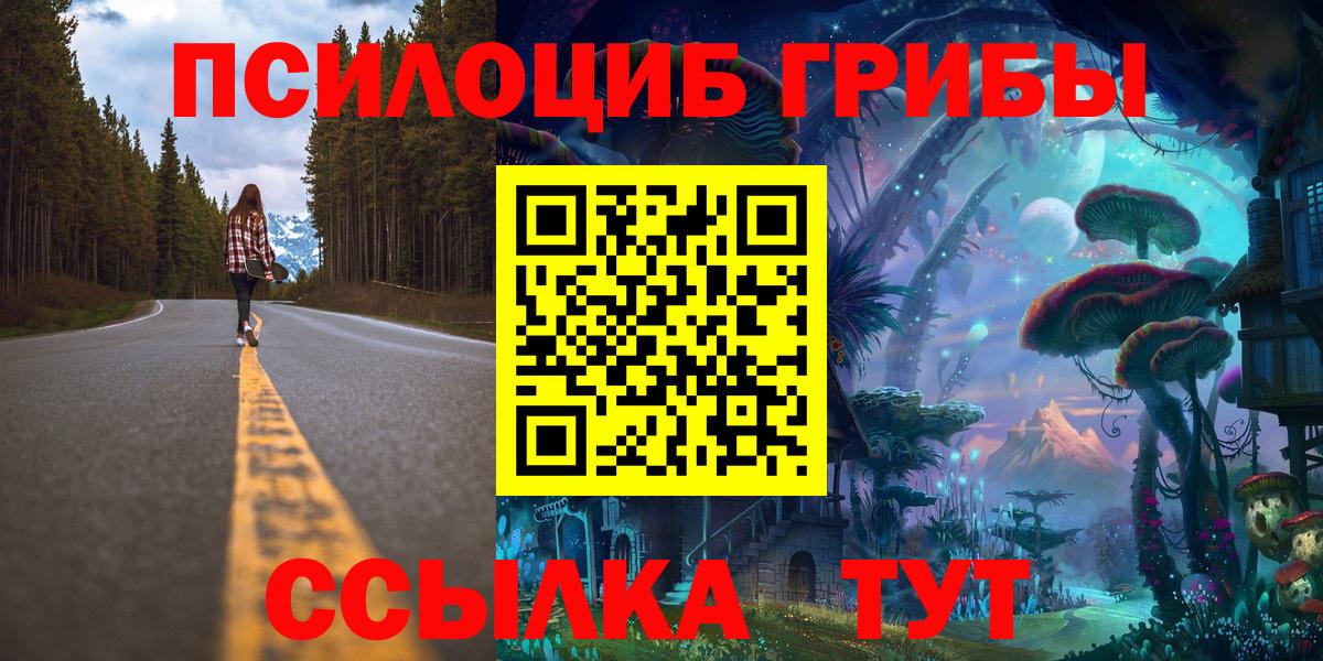 Псилоцибиновые грибы прущие грибы Лосино-Петровский